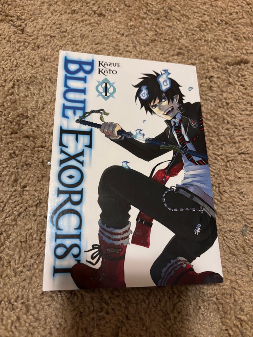 Blue Exorcist Manga Book 1
